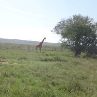 Denise Borges's Photo