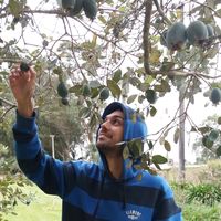 Vinicius de Lucca的照片