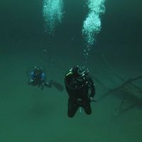 Alexandr Voinich's Photo