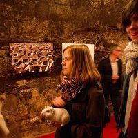 Mucie  Queffelec's Photo