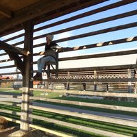 Fotos de Janine Eberle