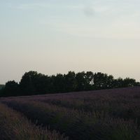 Samuele Picco's Photo