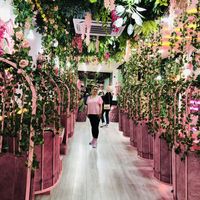 Fotos de Sarah Sharji