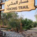 Mushrif Park Trails: Walk Togeather's picture