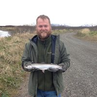 Photos de Robert Lynn