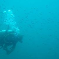 Фотографии пользователя Cyril Demeire