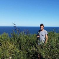 Sam Stewart的照片