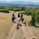 Dusheti Trail Ride - A Quick Escape  From Tbilisi's picture