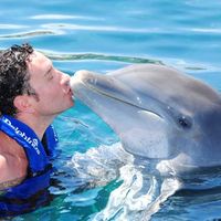 Attilio Benoffi的照片