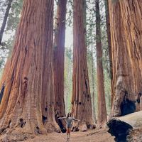 Daniela Alejandra Rodríguez Pérez's Photo