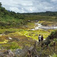 Margarita Sierra's Photo