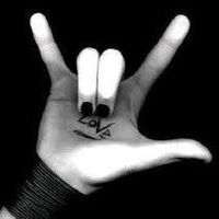 Hippy Shake的照片