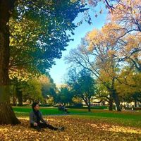 Hirai Shinichirou's Photo