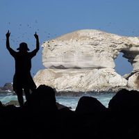 Фотографии пользователя Daniela Estrella