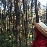 Intanoorahma Sari's Photo