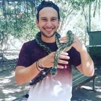 Hendrik Kreienborg's Photo