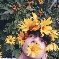 Felipe Schlindwein的照片