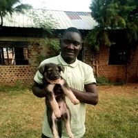 kigozi jayani's Photo