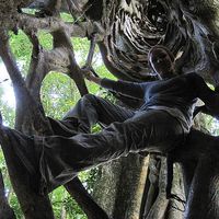 Franzi Kluge's Photo