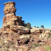 Melissa Chen's Photo