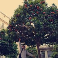 Piotr Kosmalski's Photo