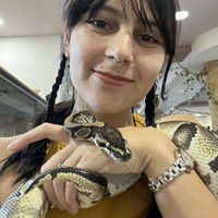 Sof Hiddleston的照片