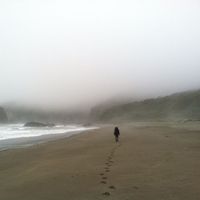 Alyssa McClelland's Photo