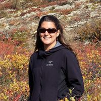 anastasia davidson's Photo