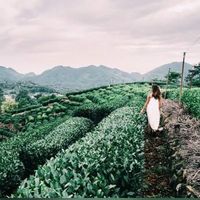 Allegra Masciarelli的照片