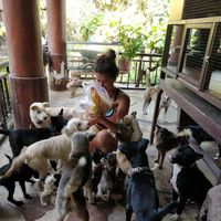 Sandra Kuhnert的照片