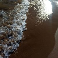 Alessandro Vaudo's Photo