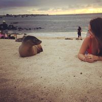 Fotos de Rebecca Evangeline