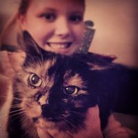 Rabea Schulze的照片