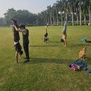 Open Calisthenics, Gymnastics & Mobility Workshop!'s picture