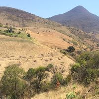 Francisco Santiago's Photo