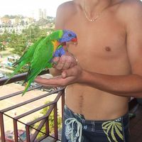 Dan Beaulieu's Photo