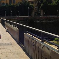 Liliana Pinho's Photo