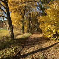 Claudia Schwegmann's Photo