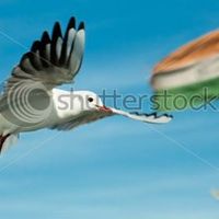 Ashrita Parvataneni's Photo