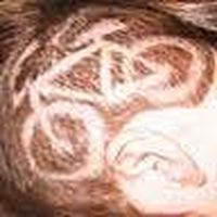 Sylvia Lewis-Havard's Photo