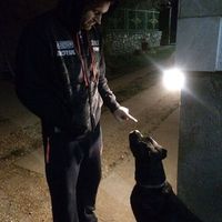 Fotos de Balogh Baláz