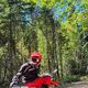 Photo of M