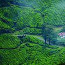 Foto de Short trip to Munnar in Public Transport