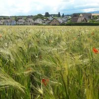 Thierry Briquet的照片