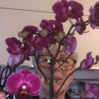 Annamarie Recla's Photo