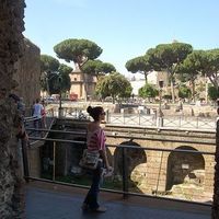 Christina Kapeliani's Photo