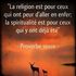 Thierry Delarbre's Photo
