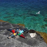 Faith Kapoor的照片