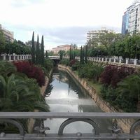 Adriana Cetolini Guzman的照片