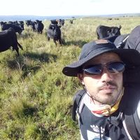 Fotos von Javier Toledo